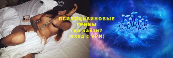 прущий лед Костерёво