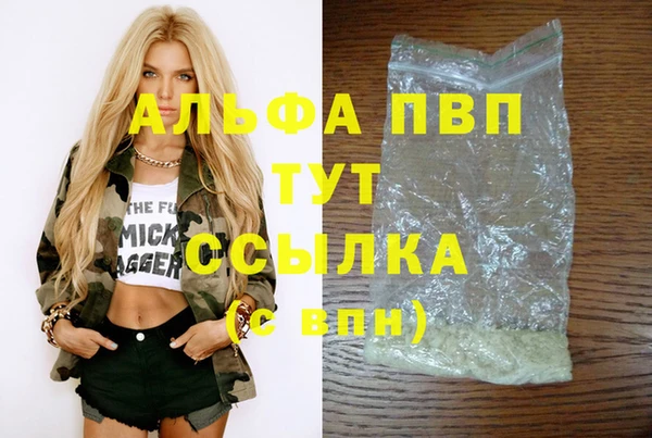 дмт Абаза