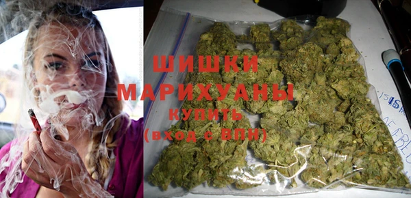 дмт Абаза
