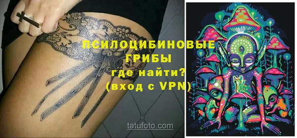 дмт Абаза