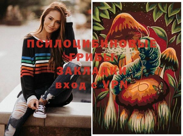 дмт Абаза