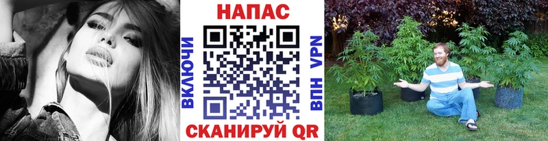 где купить наркоту  Нефтеюганск  Конопля тримм 
